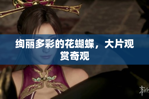 绚丽多彩的花蝴蝶，大片观赏奇观
