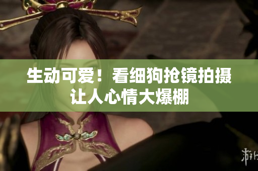 生动可爱！看细狗抢镜拍摄让人心情大爆棚