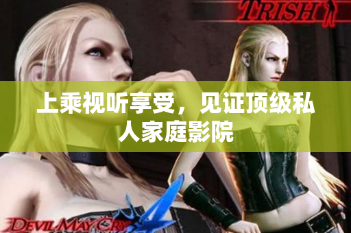 上乘视听享受，见证顶级私人家庭影院