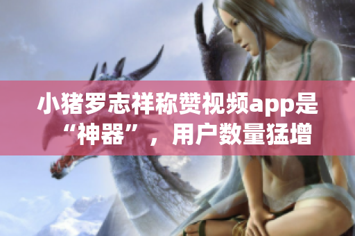 小猪罗志祥称赞视频app是“神器”，用户数量猛增