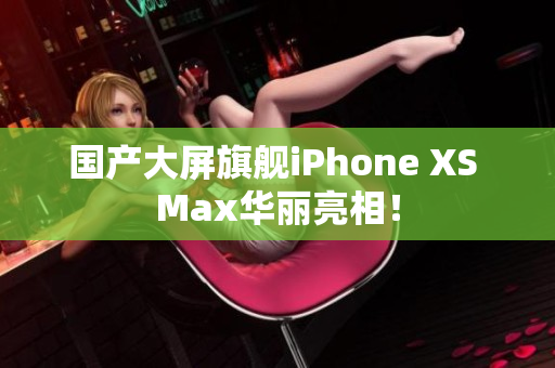 国产大屏旗舰iPhone XS Max华丽亮相！