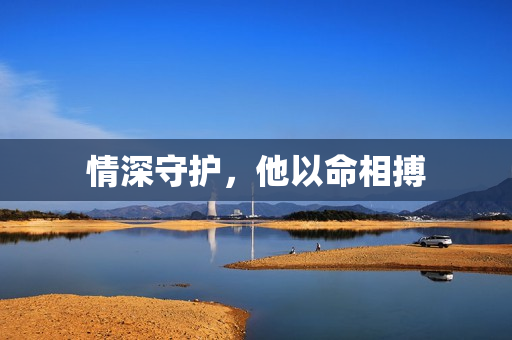 情深守护，他以命相搏