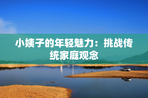 小姨子的年轻魅力：挑战传统家庭观念