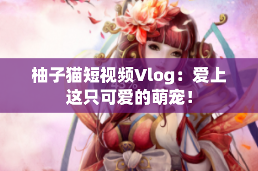 柚子猫短视频Vlog：爱上这只可爱的萌宠！