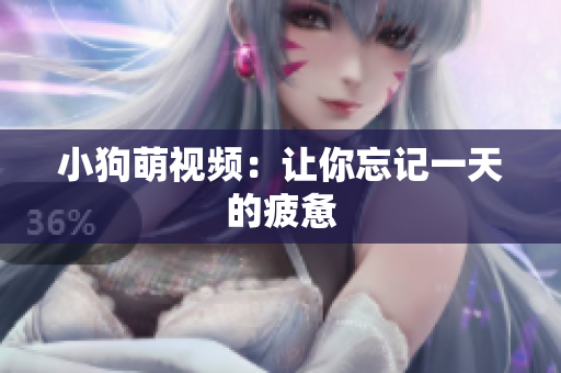 小狗萌视频：让你忘记一天的疲惫