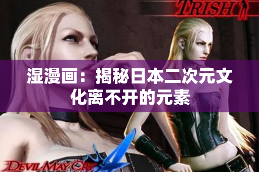 湿漫画：揭秘日本二次元文化离不开的元素