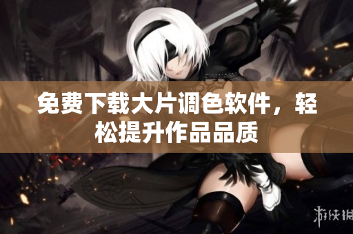 免费下载大片调色软件，轻松提升作品品质