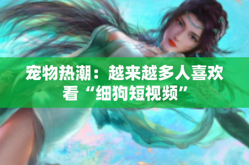 宠物热潮：越来越多人喜欢看“细狗短视频”
