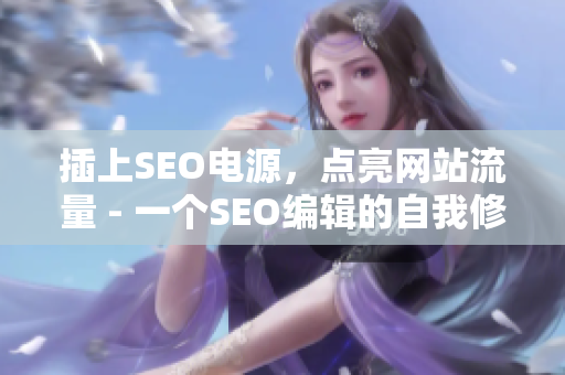 插上SEO电源，点亮网站流量 - 一个SEO编辑的自我修养