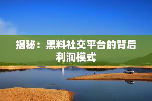 揭秘：黑料社交平台的背后利润模式