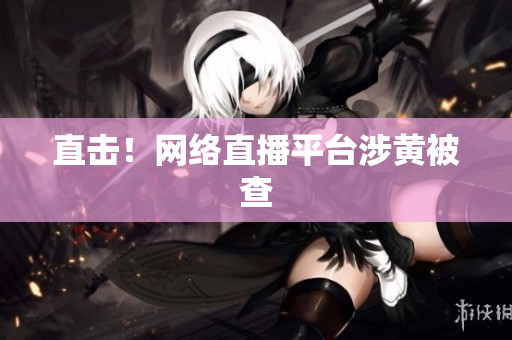 直击！网络直播平台涉黄被查