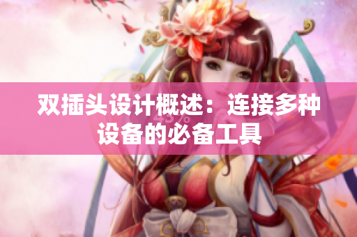 双插头设计概述：连接多种设备的必备工具