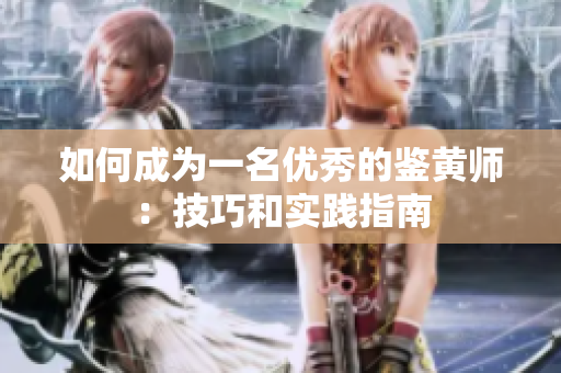 如何成为一名优秀的鉴黄师：技巧和实践指南