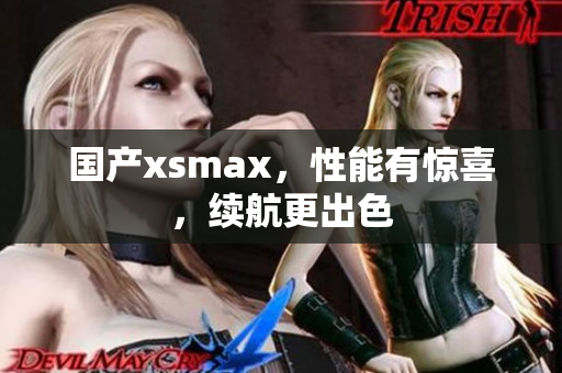 国产xsmax，性能有惊喜，续航更出色