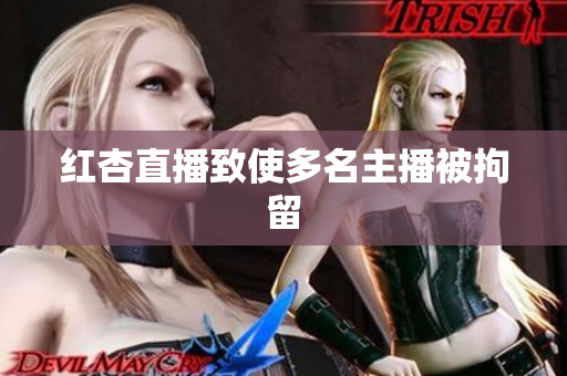 红杏直播致使多名主播被拘留