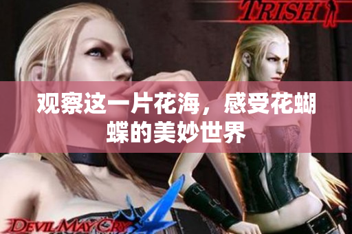 观察这一片花海，感受花蝴蝶的美妙世界
