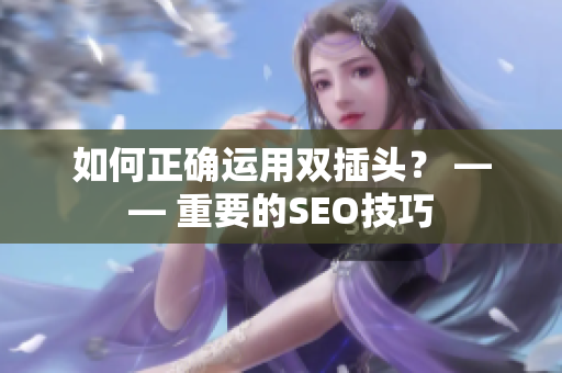 如何正确运用双插头？ —— 重要的SEO技巧