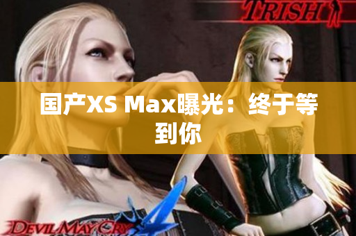 国产XS Max曝光：终于等到你