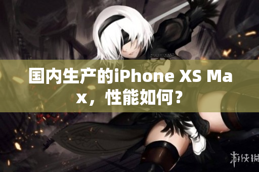 国内生产的iPhone XS Max，性能如何？