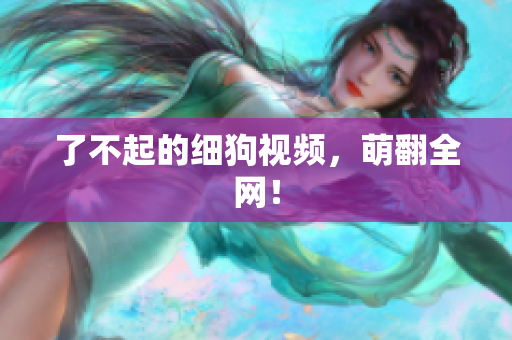 了不起的细狗视频，萌翻全网！