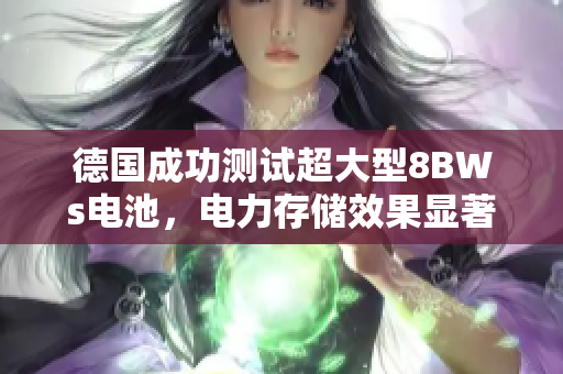 德国成功测试超大型8BWs电池，电力存储效果显著