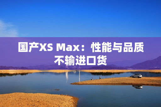 国产XS Max：性能与品质不输进口货