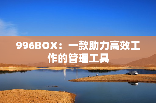 996BOX：一款助力高效工作的管理工具