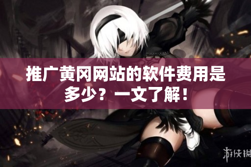 推广黄冈网站的软件费用是多少？一文了解！