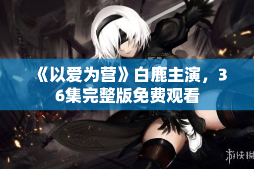 《以爱为营》白鹿主演，36集完整版免费观看