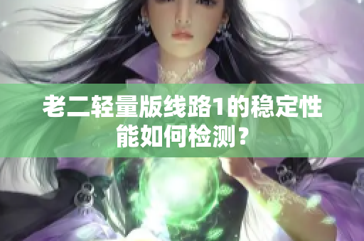 老二轻量版线路1的稳定性能如何检测？