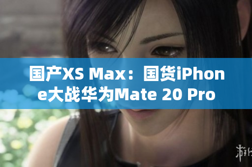 国产XS Max：国货iPhone大战华为Mate 20 Pro