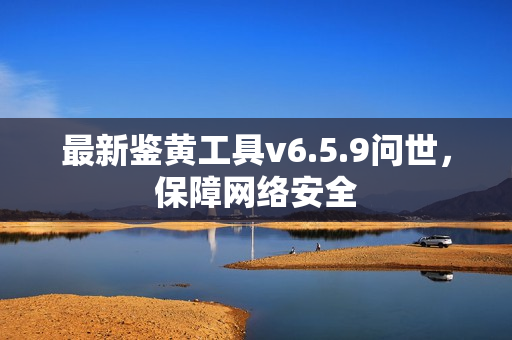 最新鉴黄工具v6.5.9问世，保障网络安全