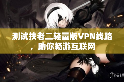 测试扶老二轻量版VPN线路，助你畅游互联网
