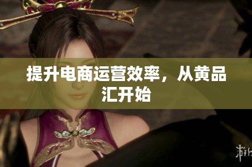 提升电商运营效率，从黄品汇开始