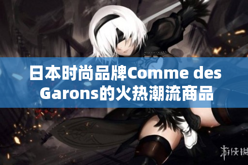 日本时尚品牌Comme des Garons的火热潮流商品