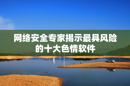 网络安全专家揭示最具风险的十大色情软件
