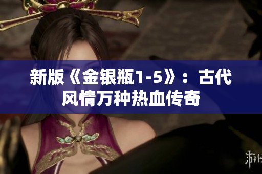 新版《金银瓶1-5》：古代风情万种热血传奇