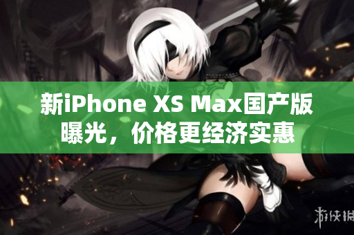 新iPhone XS Max国产版曝光，价格更经济实惠