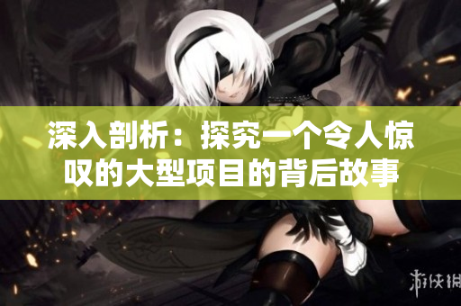 深入剖析：探究一个令人惊叹的大型项目的背后故事