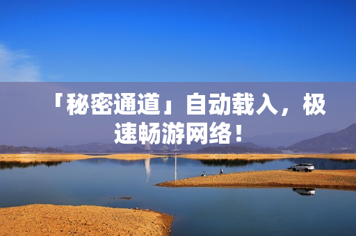 「秘密通道」自动载入，极速畅游网络！