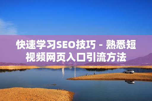 快速学习SEO技巧 - 熟悉短视频网页入口引流方法