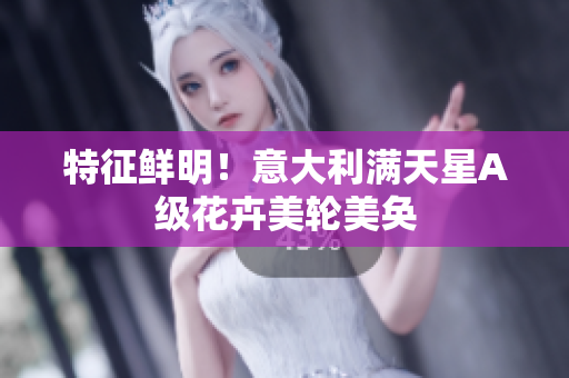 特征鲜明！意大利满天星A级花卉美轮美奂