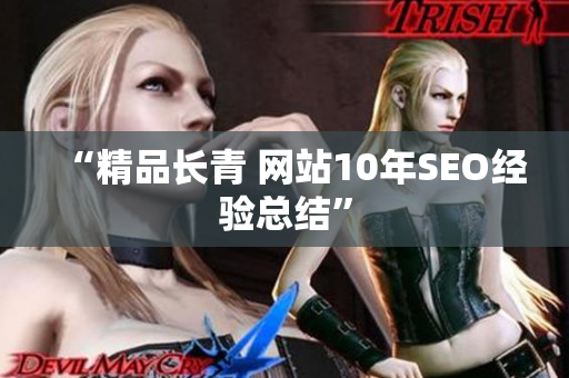 “精品长青 网站10年SEO经验总结”