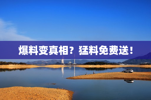 爆料变真相？猛料免费送！