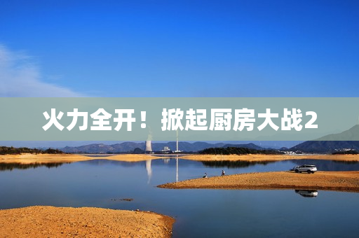 火力全开！掀起厨房大战2