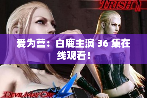 爱为营：白鹿主演 36 集在线观看！