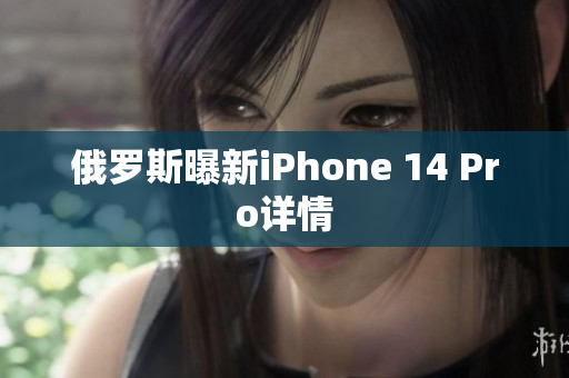 俄罗斯曝新iPhone 14 Pro详情