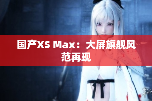 国产XS Max：大屏旗舰风范再现