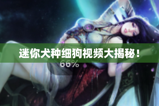 迷你犬种细狗视频大揭秘！