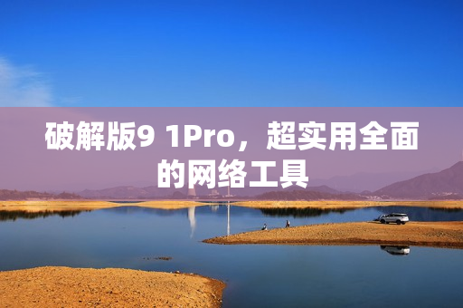破解版9 1Pro，超实用全面的网络工具